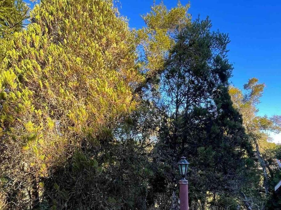 Chale Em A 1km Do Capivari - Kg Chalé Campos do Jordão